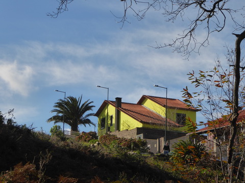   Madeira 2017 Fahrt zur Levadawanderung Madeira 2017   Levadawanderung 