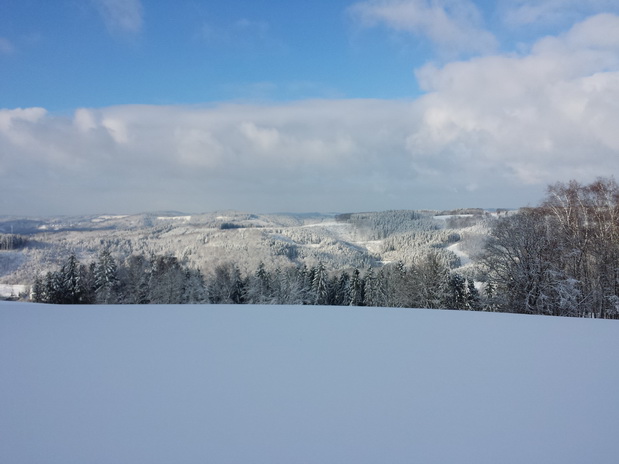 Blick von Hecke nach dem Zwergstall