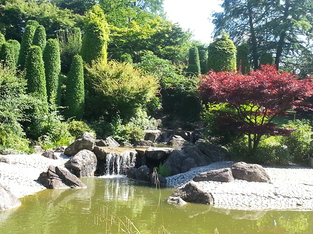 japanischer garten Bonn 