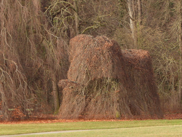 Potsdam Pyramide am Jungfernsee 