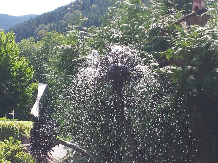 Löwenzahnspringbrunnen