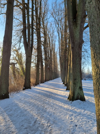   Eutin Eutiner SchlossEutin Eutiner Schloss