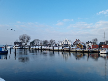 Niendorf_Hafen