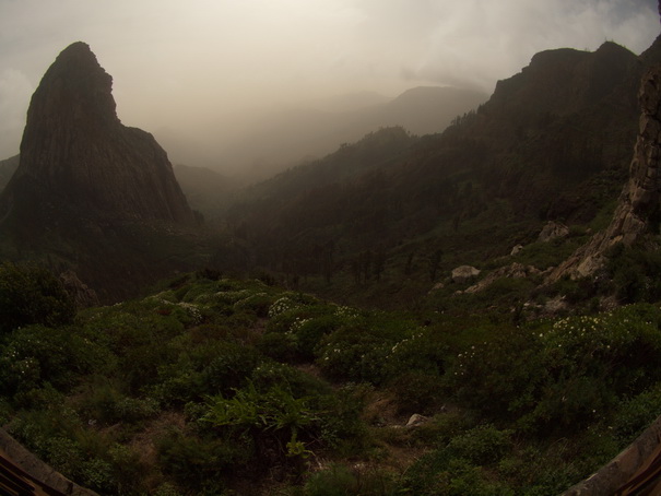 Gomera felsen lorberwaelder