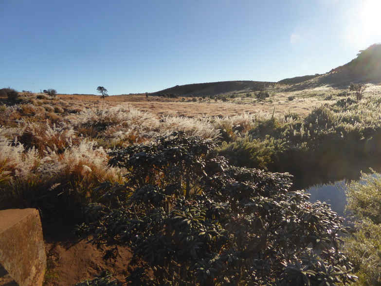 Great World's End Drop Hortons Plains Nuwara Eliya Frost 