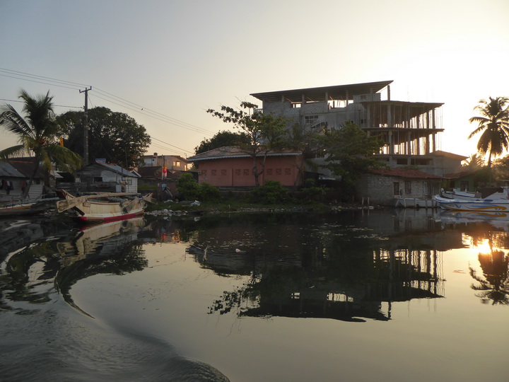 Negombo Boatsafari Mangroves 