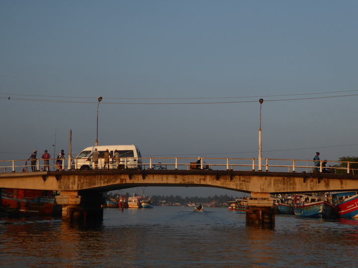 Negombo Boatsafari Mangroves 