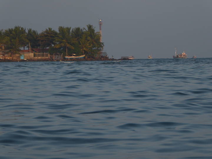 Negombo Boatsafari Mangroves 