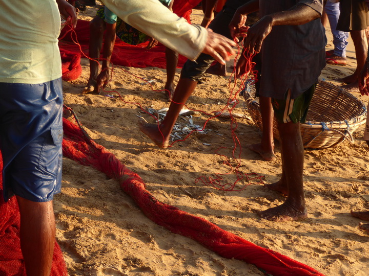 fishermen Palagama