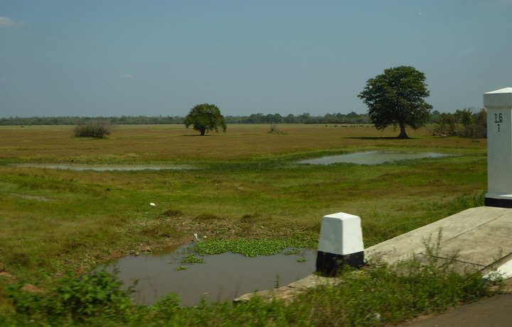   Kalpitiya  Wilpattu NPKalpitiya  Wilpattu NP