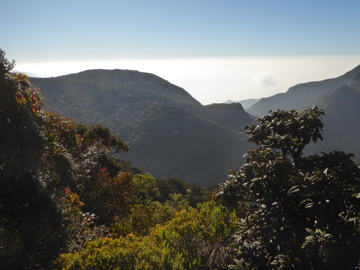 Trekking to  Great World's End Drop Hortons Plains  Nuwara Eliya 