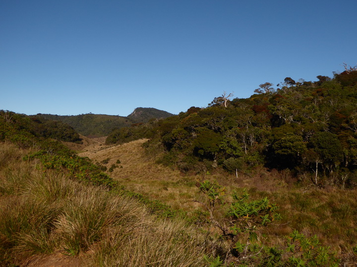 Trekking to  Great World's End Drop Hortons Plains  Nuwara Eliya 