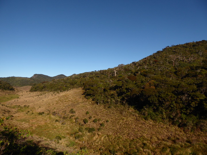 Trekking to  Great World's End Drop Hortons Plains  Nuwara Eliya 