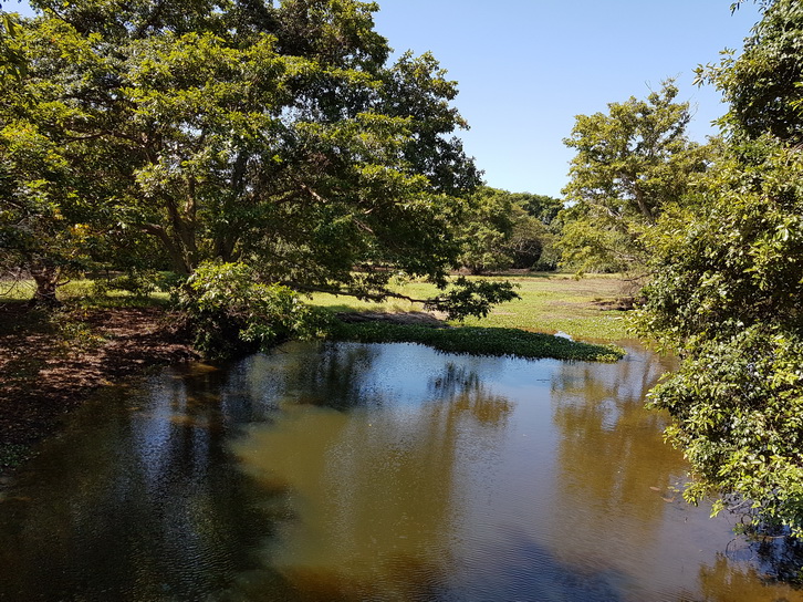 Anawilundawa       Bird sanctuary