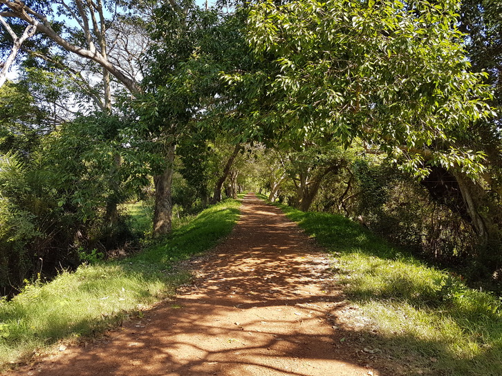 Anawilundawa       Bird sanctuary