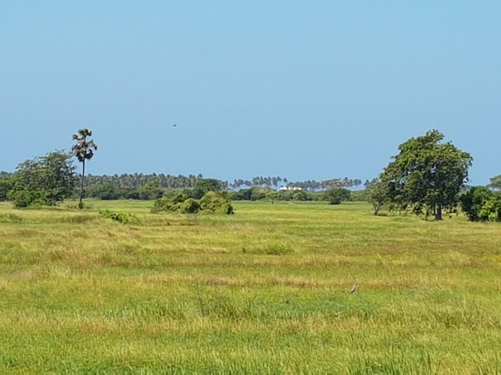 Anawilundawa       Bird sanctuary