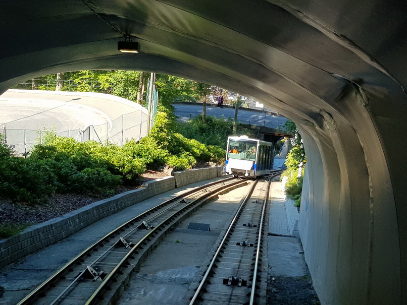 Bergziegen  Bergen Bergen Hausberg Fløyen Talstation Fløi-BahnBergen Ziege auf Tisch    