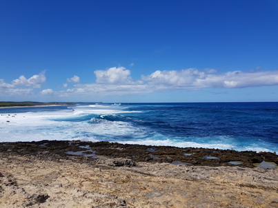 Guadelope Pointe des Chteaux Ostkste