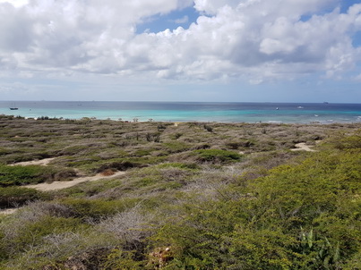   Aruba Alto-Vista-Kapelle Leuchtturm Aruba Alto-Vista-Kapelle Leuchtturm 