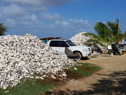   Bonaire Conch Berge MuschelbergeBonaire Bonaire Conch Berge Muschelberge