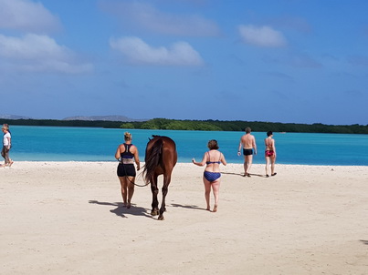 Bonaire Conch Reiten am Meer 