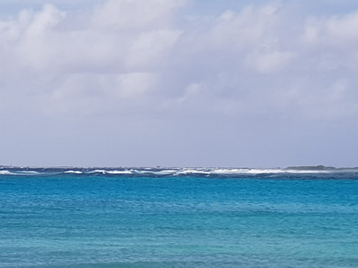   Bonaire Schnorcheln mit MeeresschildkrteBonaire Schnorcheln mit Meeresschildkrten