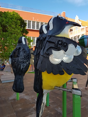   Curacao Willemstad Bananaquit Townwalk to Chobolobo Curacao  Willemstad Chobolobo Blue Curacao 