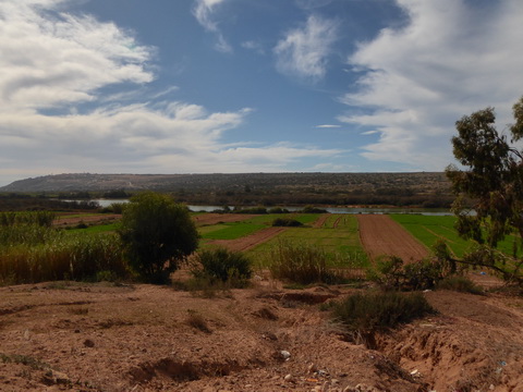  Marokko Agadir souss massa national park Tifnit 