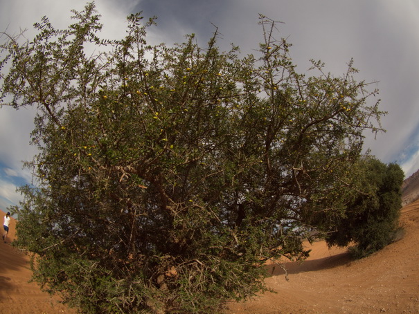  Marokko Agadir Rasbouka Duenen  Chtouka Ait Baha Province,سيدي وساي,Marokko