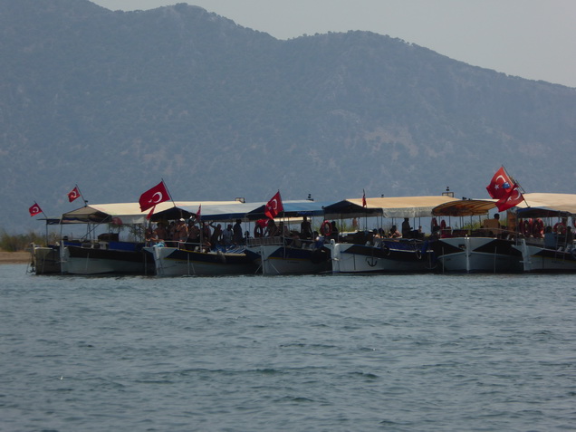 Marmaris dalyan iztuzu beach von morgens 8 bis abends 20 Uhr nur zugänglich , dann nur für die Caretta Caretta 