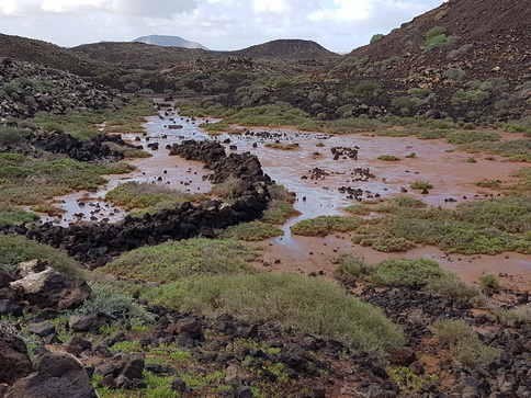 Isla Los Lobos Puerto de CorralejoIsla Los Lobos Puerto de Corralejo