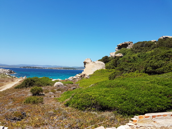   Olbia Sardinien capo d'orso bärenfelsenOlbia Sardinien capo d'orso bärenfelsen