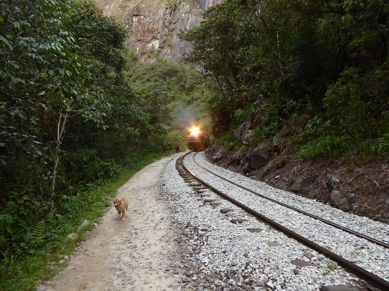 Machu Picchu Train Perurail