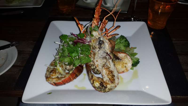 Mauritius Speisen  Le Victoria Beachcomber Hotel MauritiusMauritius Fisch Lobster  Le Victoria Beachcomber Hotel Mauritius