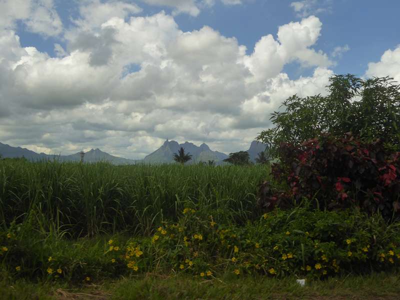 Mauritius Mountain  Le Victoria Beachcomber Hotel Mauritius Mountains