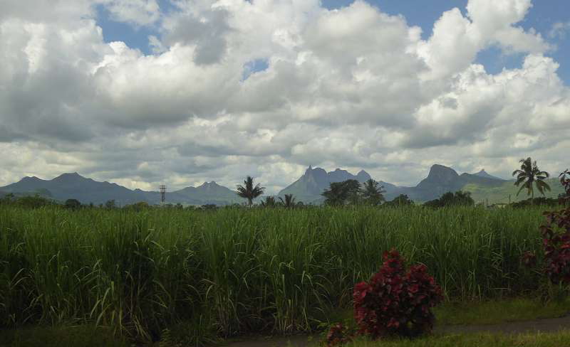 Mauritius Mountain  Le Victoria Beachcomber Hotel Mauritius Mountains