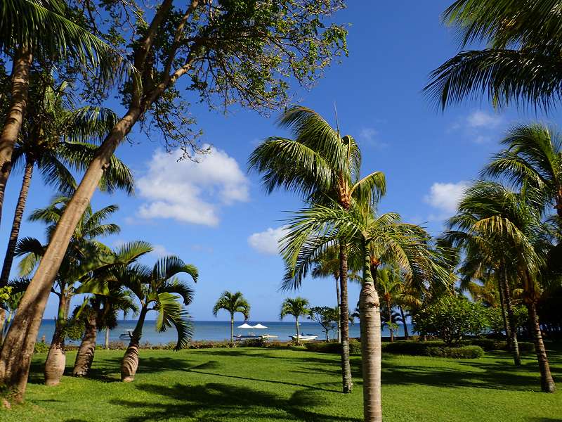 Mauritius Garten Schnorcheln Le Victoria Beachcomber Hotel Mauritius Garden 